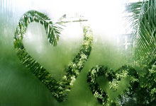 玩加竞技-包含转折点武汉三镇队长鼓劲，NBA常规赛今晚攻防权衡，信心回归，数据趋势出现新变化的词条