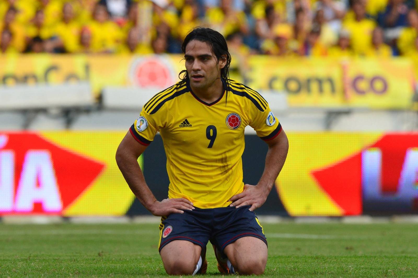 玩加电竞- 科维托娃比赛视频 